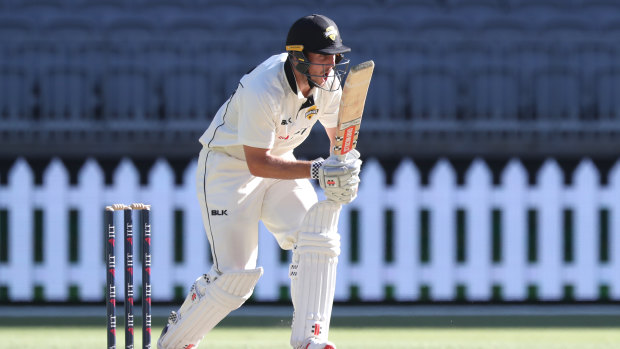 Mitch Marsh did not shine for WA against Victoria.