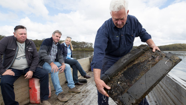 Oyster farmers, from left, Shane Buckley, Kel and Caroline Henry, and Kevin McAsh, are worried about the NSW government's investment in one of their competitors in the industry. 