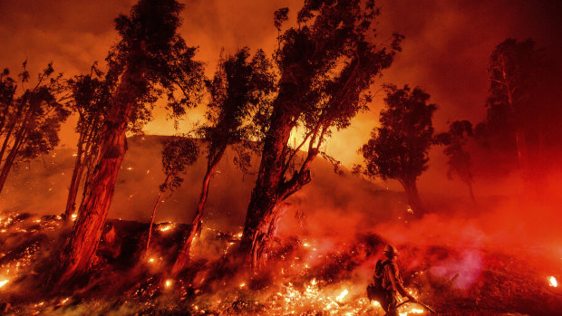 Flames from a backfire consume a hillside as firefighters battle the Maria Fire in Santa Paula, California. 