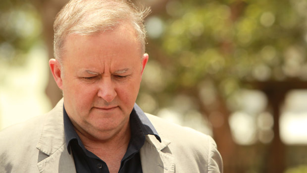 Anthony Albanese says Labor will work with the government to facilitate any new legislation needed for bushfire recovery efforts.