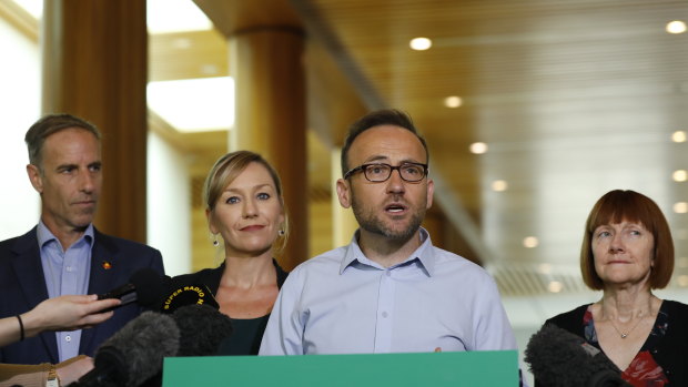 Greens Leader Adam Bandt will stay mute during the party's month-long membership vote on how to elect party leaders.