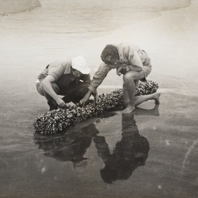 Isobel Bennett (right) and a colleague examining gooseneck barnacles covering a log in Gerroa, 1930–52.