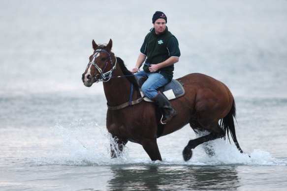 Racehorse trainer Richard Laming. 