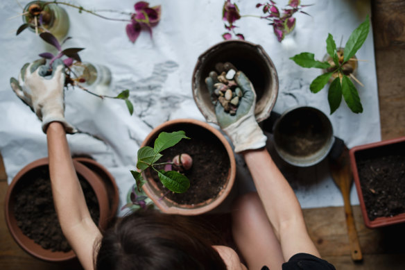 By composting, you can create beautifully rich soil teeming with healthy microbes.