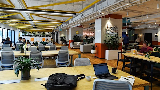 Leasing agent Cadigal partners with flexible office broker Rubberdesk