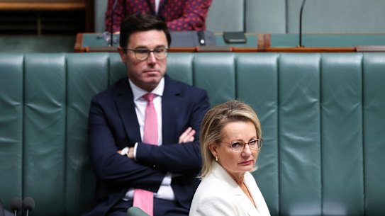 Nationals leader David Littleproud and Opposition Leader Sussan Ley taking their seats for question time at Parliament House last week.