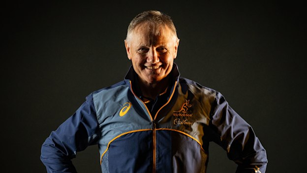 Joe Schmidt is nearing the end of his short time as Wallabies coach, having restored much credibility to the gold jumper.