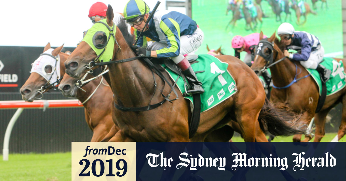 Tips And Race By Race Preview For Randwick On Boxing Day
