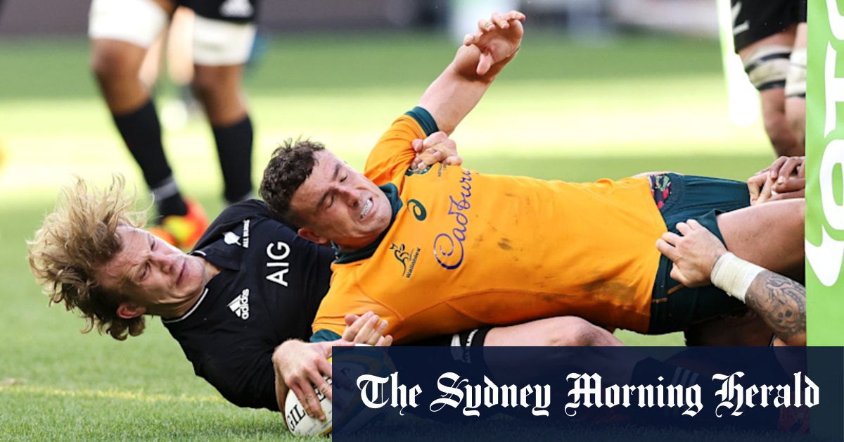 Bledisloe Cup Reduced From Three To Two Tests A Year - Vimarsana News