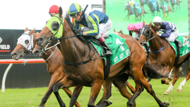 Tips And Race By Race Preview For Randwick On Boxing Day