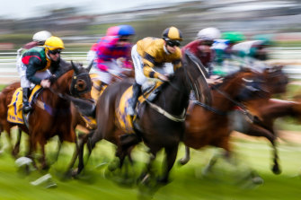 An eight-race card is scheduled for Wagga on Tuesday.