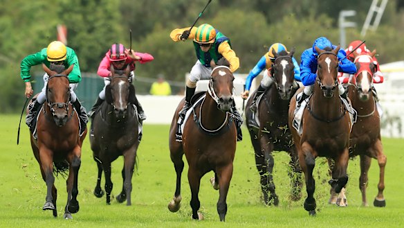 Easy Eddie (green and yellow silks) will look for a fairytale in the Galaxy at Rosehill on Saturday.