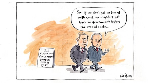 Illustration: Cathy Wilcox