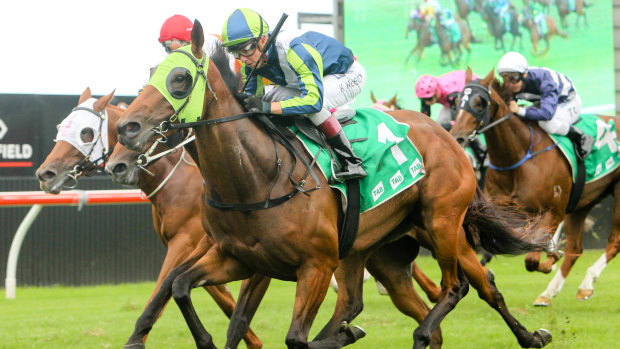 Luvaluva – featuring in race 6 – won at Randwick in April 2018, but has only placed since.