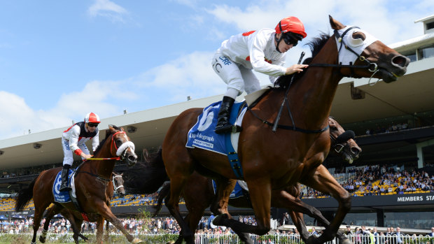 Turn of foot: Tim Clark pilots Arbeitsam home in the Neville Sellwood Stakes at Rosehill.