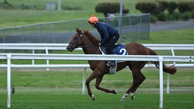 Cieren Fallon on English raider Lake Forest this week.