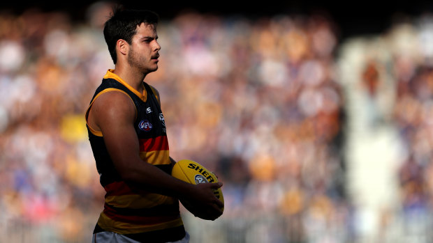 Out of the shadows: Darcy Fogarty is an emerging talent for the Crows.
