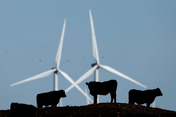 Trump has made it clear that he is opposed to both new and existing wind and solar projects, whether on federal lands or waters or on private property.