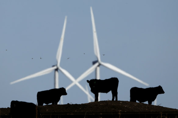 More than 150 jobs are at risk because a new wind farm project is using imported steel.