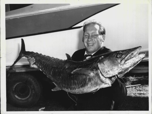 This is a big mackerel.