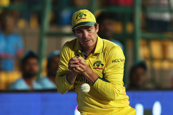 Substitute fieldsman Sean Abbott drops a catch on the boundary