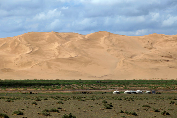 The Khongoriin Els dunes in Mongolia’s Gobi Desert.