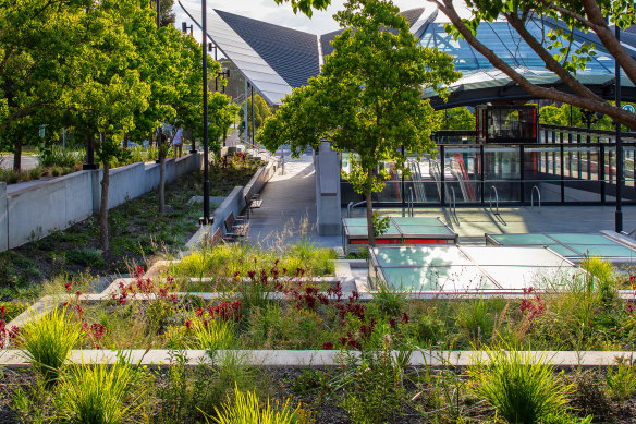 The Sydney Metro Planting Trial is experimenting with new plantings in the public sphere