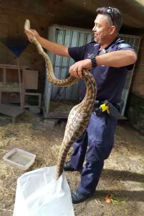 Police have released images of Constable Mark Allam arresting the slithering suspect in Smithfield.