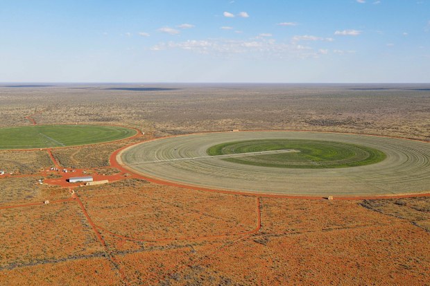 Ex-Rabbitoh Charlie Frith joins Brett Blundy with huge cattle station ...