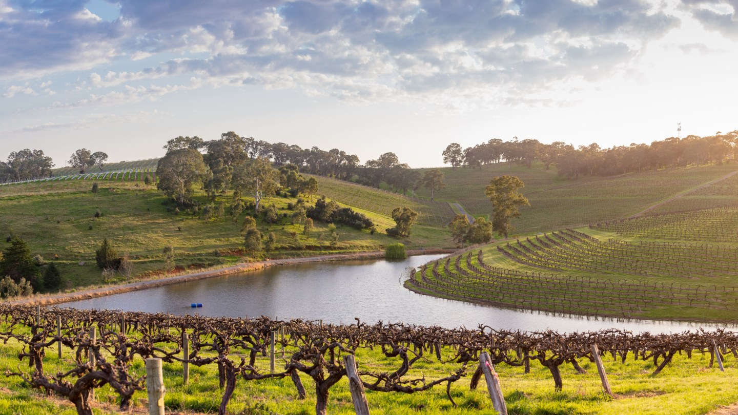 Hickinbotham winery on sale