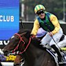 Schofield tips spring revival for stronger, more relaxed Ceolwulf