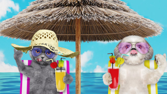 There are methods for feeling less guilty about doing nothing.