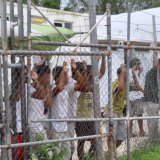 Asylum seekers at the Oscar compound in the Manus Island detention centre, Papua New Guinea.