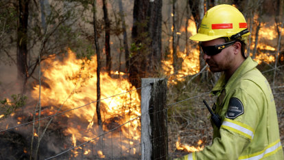 Berejiklian government abandons forestry privatisation after bushfires