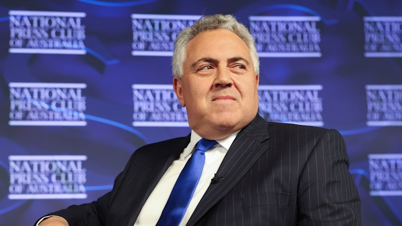 Why are Australia’s rare earths ‘crucial for the world’? Joe Hockey has an idea