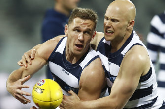 Cats Balancing Act In Milestone Match