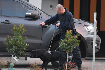 A police officer and sniffer dog inspect a car at Mr Christopher's Keilor Lodge home on Friday morning.
