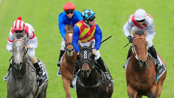 Tommy Berry looks to the stands  in triumph after Pierata wins The Shorts in style at Randwick on Saturday.