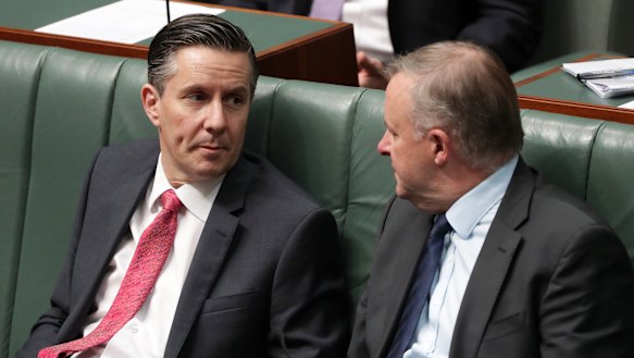 Labor MP Mark Butler and Opposition Leader Anthony Albanese.