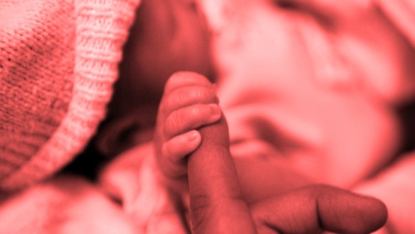 The integrated electronic medical record project began in Queensland in 2011, and is being rolled out at multiple hospitals.