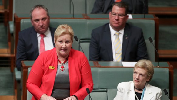 Liberal MP Ann Sudmalis attacks colleagues during a  speech to Parliament on Monday night. 