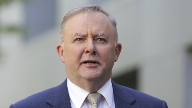 The pandemic has helped Opposition Leader Anthony Albanese survive 2020 with his leadership intact.