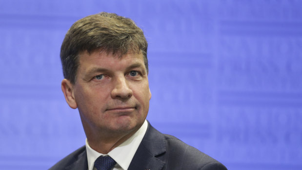 Energy and Emissions Reduction Minister Angus Taylor is pushing for carbon capture and storage projects to get money from renewable energy funds.