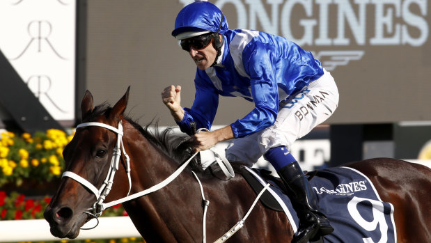 Freakish: Chris Waller has never see a horse like Winx before  