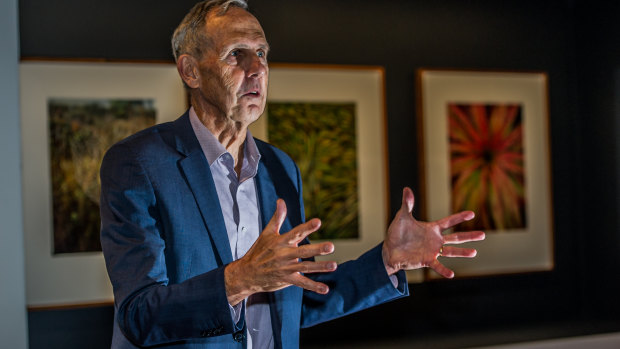 Former Australian Greens leader Bob Brown.