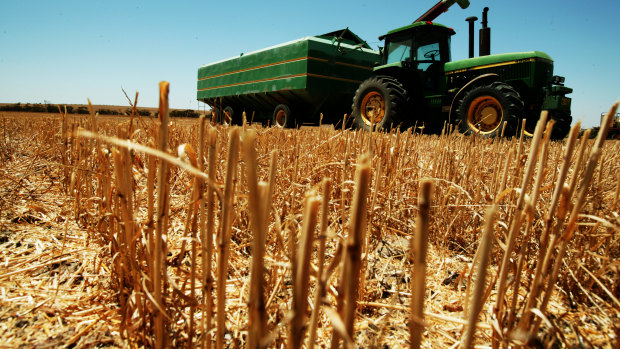 Australia is starting to import some wheat as its crop has been impacted 
 by the drought.