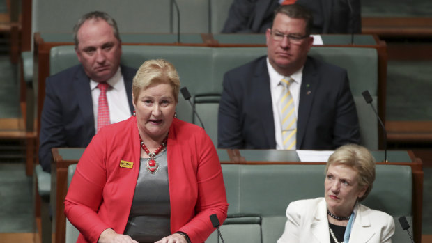 Liberal MP Ann Sudmalis attacks colleagues during a  speech to Parliament on Monday night. 