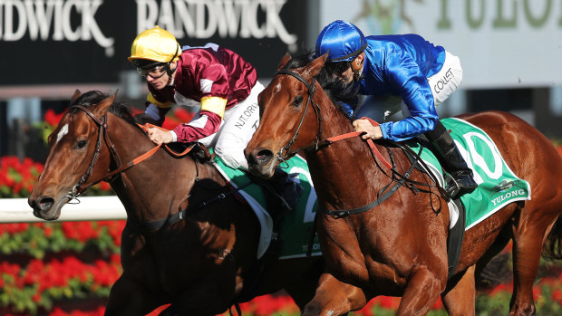Jason Collett aboard Tailleur (right) beats Switched at Randwick.