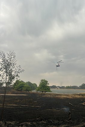 Fowles conseguiu salvar sua casa, mas suas vinhas desapareceram.
