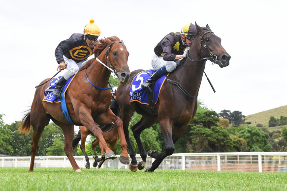 Readily Availabull (right) takes the Magic Millions Clockwise Classic with Michael Dee in the saddle in November.